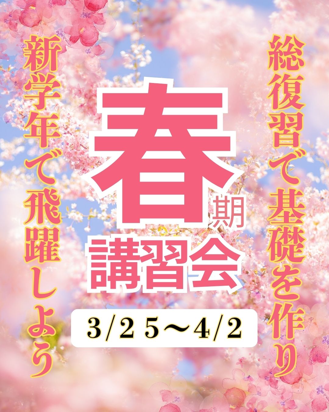2026年　春期講習会
総復習で基礎を作り新学年で飛躍しよう